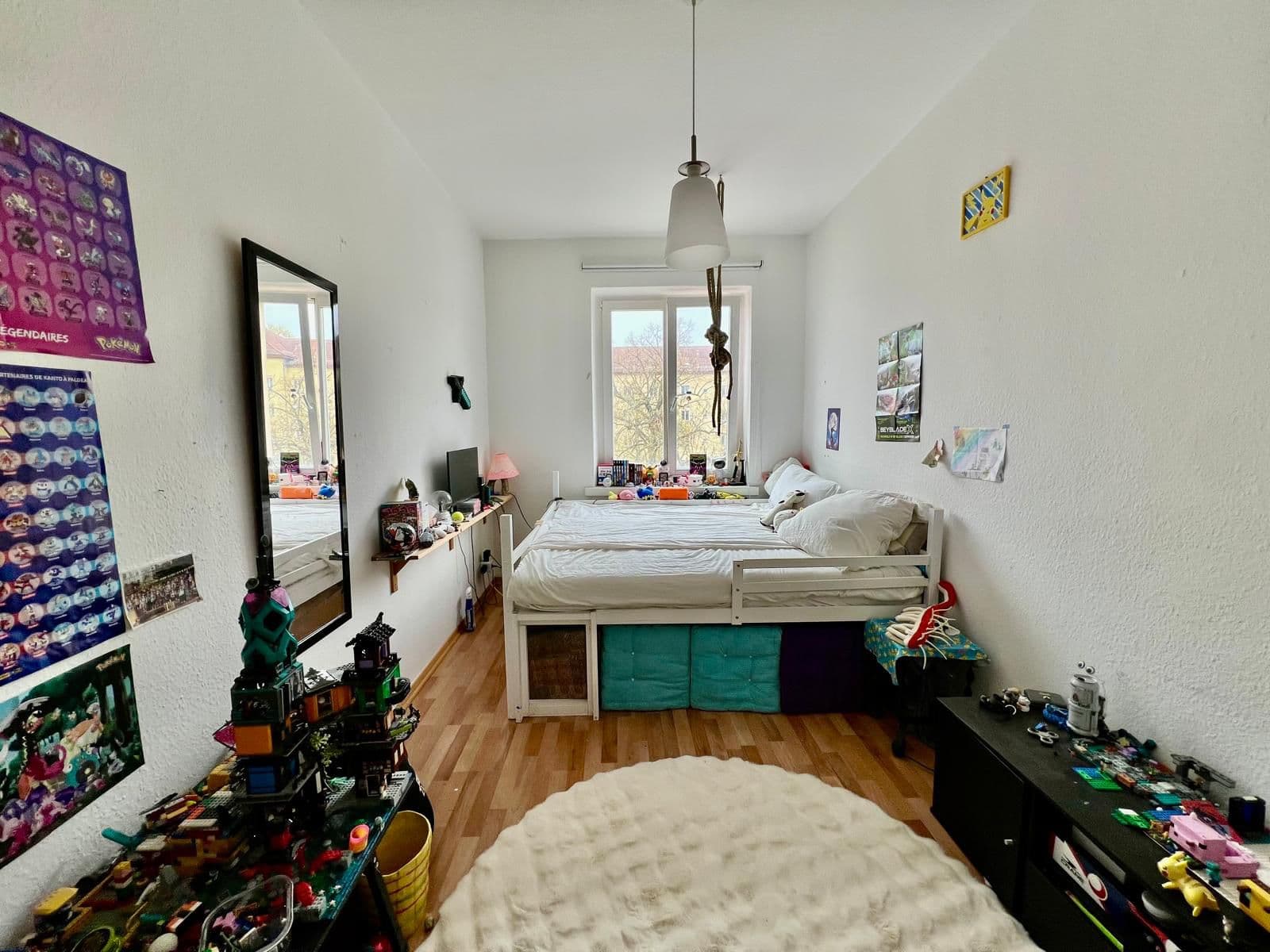 Berlin Summer Sublet in Prenzlauer Berg – Discounted Rent in Exchange for Cat Care - photo 3